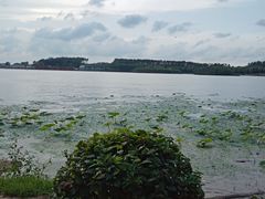 -丁香湖公园