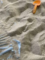 -恐龙探索乐园(磁器口店)