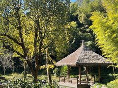-兰亭风景区
