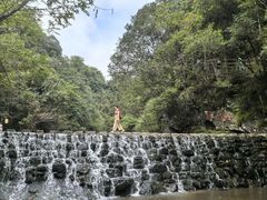 -石台牯牛降景区