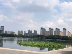 -尚贤河湿地