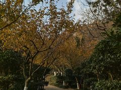 -石老人观光园