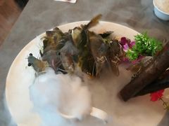 -洋湖国家湿地公园