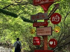 -红崖峡谷景区