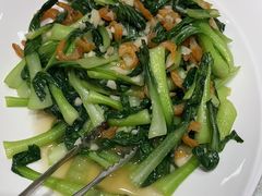 -海派美食·家宴海鲜青岛菜·石锅鲽鱼头(东方城店)