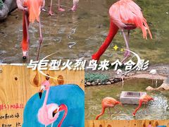 -昆明动物园