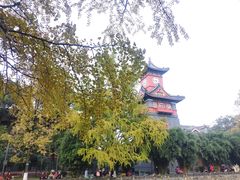 -四川大学(华西校区)