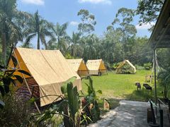 -芭厘·农庄老字号.电饭煲五指毛桃焗鸡