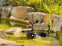 -梧桐人家中国太平国际健康颐养社区