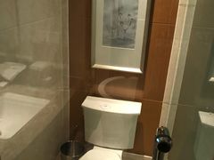 -常州武进九洲喜来登酒店