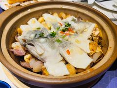砂锅焗鲈鱼-点都德·毕德寮