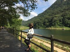 -广州市石门国家森林公园