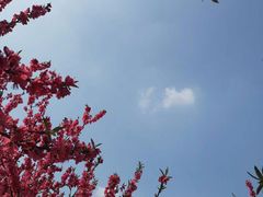 -秀丽东方