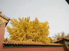 -故宫钟表馆