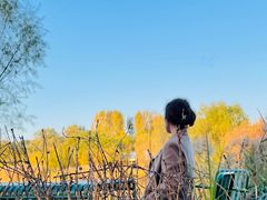 -Supine Bistro溯泮餐厅