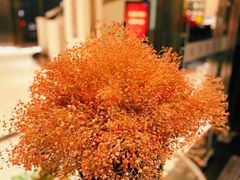 -御花园·粤菜·海鲜火锅(中山公园店)