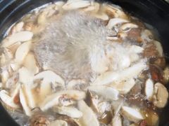 -蘑统田下·野生菌火锅