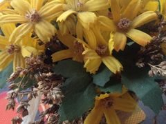 iphone_upload_pic-BONAZZA 意大利餐厅