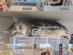 -怪兽屋·羊驼·猫咖·狗咖(俊华广场店)