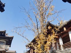 -香积寺