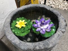 景观位-大牌大·传统杭帮菜(湖滨店)