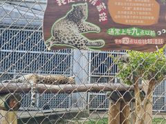 -合肥野生动物园