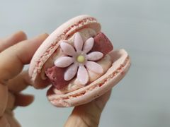 花花半熟马卡龙玫瑰双莓芝士口味-好利来(东直门银座店)