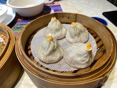 -点都德·毕德寮