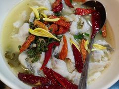 -OLD TREE老树咖啡·西餐厅(台山人工湖店)