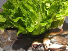 -销魂美蛙鱼头火锅(上海首店)