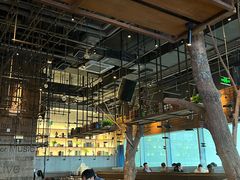 -同仁四季椰子鸡(宝安壹方城店)