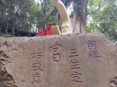 -七仙岭温泉国家森林公园