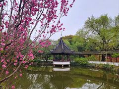 -上海醉白池公园