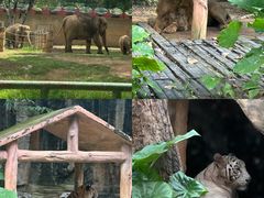 -谜森·小吃酒馆(上河城店)