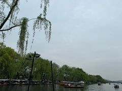 -西湖外事游船(花港观鱼码头)