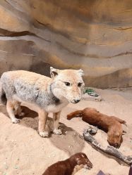 -酷嗒动物文化乐园(cutezoo西溪乐天城店)