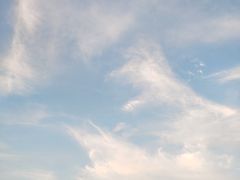 -德克士(宽甸店)