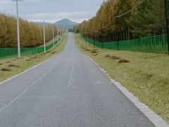 -塞罕坝国家级自然保护区