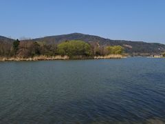-长广溪湿地公园