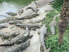 -广州长隆飞鸟乐园