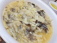地皮菜烩土豆丝-凯鸽酒楼•雁北民间菜(华北星店)