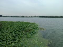 -南湖湿地公园
