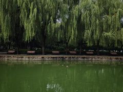 -团结湖公园