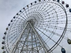 -青岛嘉年华主题乐园