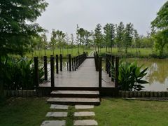 -上海长兴岛郊野公园