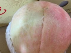 -老袁家蜜桃农场·阳山水蜜桃