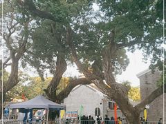 -黄埔军校旧址纪念馆
