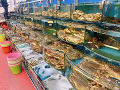 水产区-渔中舟海鲜大排档(普陀沈家门店)