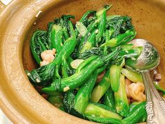 -翠园(北京王府中环店)