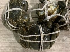 -乡乐园蟹庄·阳澄湖农家乐